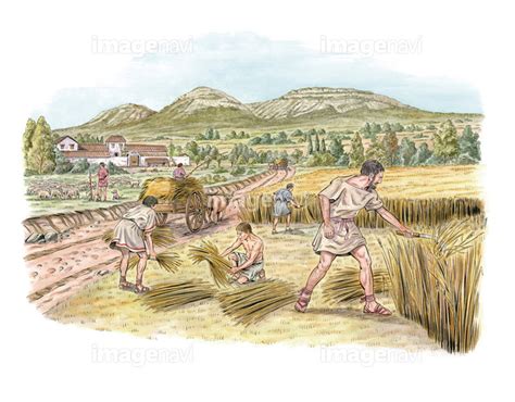 古代農業